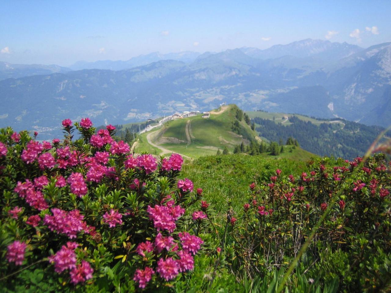 Samoens Apartment 2 Bedroom 50M2 Modern And Well Equipt Buitenkant foto